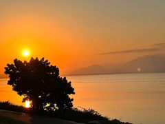 -深圳湾公园(南山区)