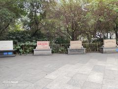 -小洲村