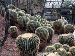 -南山植物园