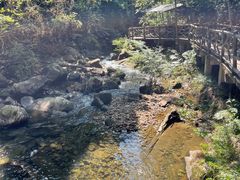 -九龙江国家森林公园