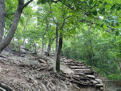 -紫金山山顶公园