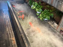 -0776食堂·京城创意菜(七里庄店)