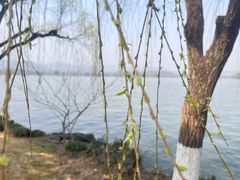 -浙江西子宾馆·瑶园咖啡厅