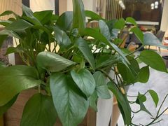 -苏小胖龙虾工坊·私房菜(金鼎华府店)