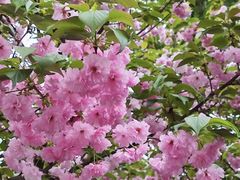 -长沙市青少年宫