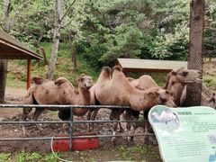 -大连森林动物园