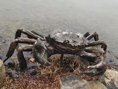 -大千天鹅湾温泉