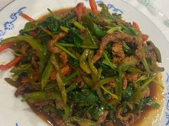 香菜炒牛肉丝-新新湘菜馆(新中街二条店)