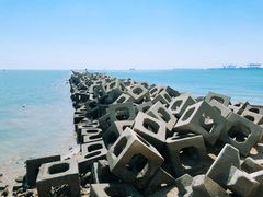 -东疆建设开发纪念公园
