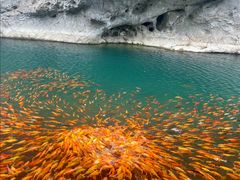 -楠溪江风景名胜区