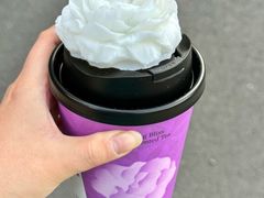 -OH MY TEA 奇妙特饮(天一店)