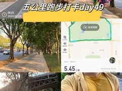 -莲花山公园