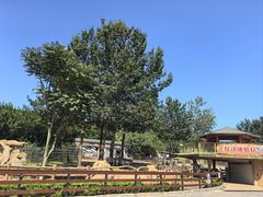 -大连森林动物园