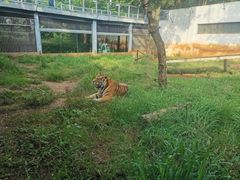 -昆明动物园