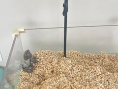 -怪兽屋·羊驼·猫咖·狗咖(俊华广场店)