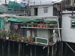 -大澳