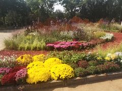 -北京十三陵国家森林公园蟒山景区