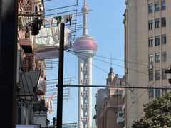 -LESCEDARS Brasserie Bistro香柏树