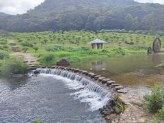 -广州市石门国家森林公园