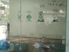 -格蕾宠物医院24H·猫科·肿瘤科·骨科中心(福州总院)