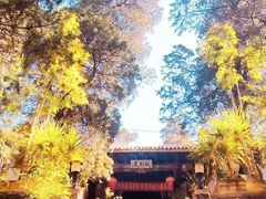 -巍山古城