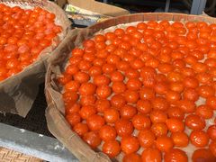 -大澳