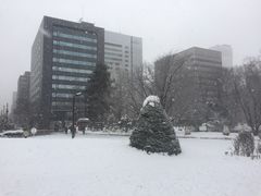 -北海道厅旧本厅舍(旧本庁舎)