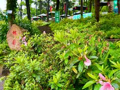 -广州市白云山风景名胜区