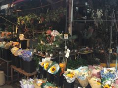 -循礼门鲜花花市(武汉循礼门店)