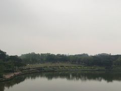 -东莞植物园