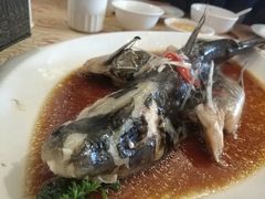 -钦善斋(武侯祠店)