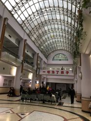 -上海交通大学医学院附属上海儿童医学中心(陆家嘴总院区)