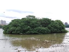 -海珠湖公园