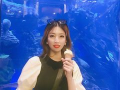 -迪拜帆船酒店海底餐厅