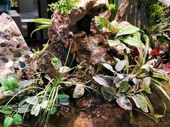 -映像威海·威海宴(威高广场店)
