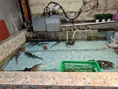 -鱼窝棚柴火铁锅炖(富山屯店)