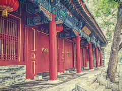 -北京第二实验小学