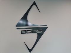 -BOSS健身