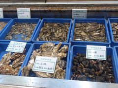 -渡海小渔村.老辈日照菜