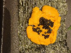 -京旬海鲜放题·铁板烧自助餐厅