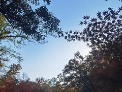 -虞山城墙