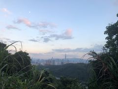 -四季美蚝皇