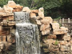 -石家庄市动物园