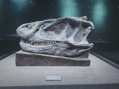 -自贡恐龙博物馆