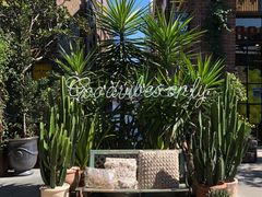 景观位-The Grounds of Alexandria