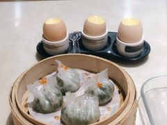 新奇榴莲蛋-隆隆金大茶楼(明珠广场店)