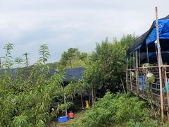 -三岔湖高家庄农家乐烤全羊柴火鸡翘壳鱼(三岔湖店)