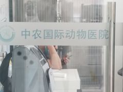 -中农国际动物医院24小时·猫科·骨科·急重症中心