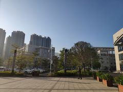 -深圳大学总医院