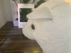 -V Beautique妆颜美学体验馆